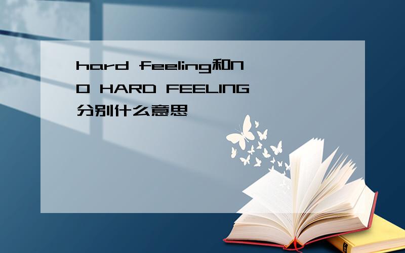 hard feeling和NO HARD FEELING分别什么意思