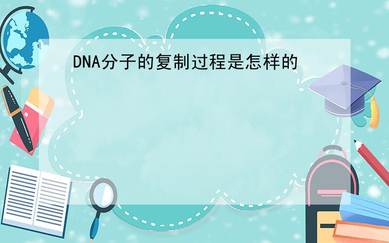 DNA分子的复制过程是怎样的