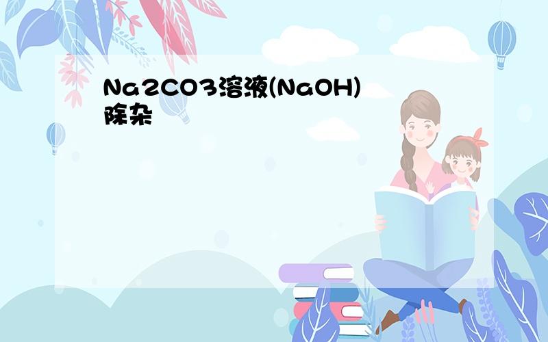 Na2CO3溶液(NaOH)除杂