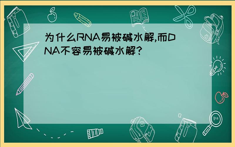 为什么RNA易被碱水解,而DNA不容易被碱水解?