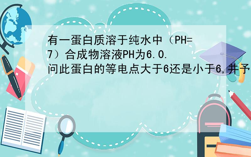 有一蛋白质溶于纯水中（PH=7）合成物溶液PH为6.0.问此蛋白的等电点大于6还是小于6,并予以解释.