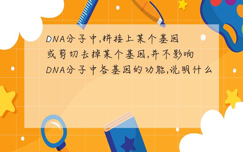 DNA分子中,拼接上某个基因或剪切去掉某个基因,并不影响DNA分子中各基因的功能,说明什么
