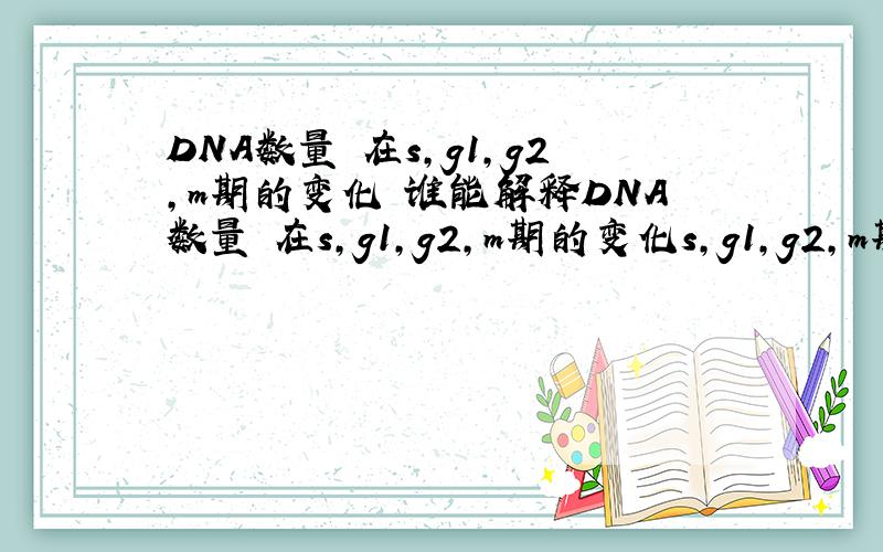 DNA数量 在s,g1,g2,m期的变化 谁能解释DNA数量 在s,g1,g2,m期的变化s,g1,g2,m期分别是什么期