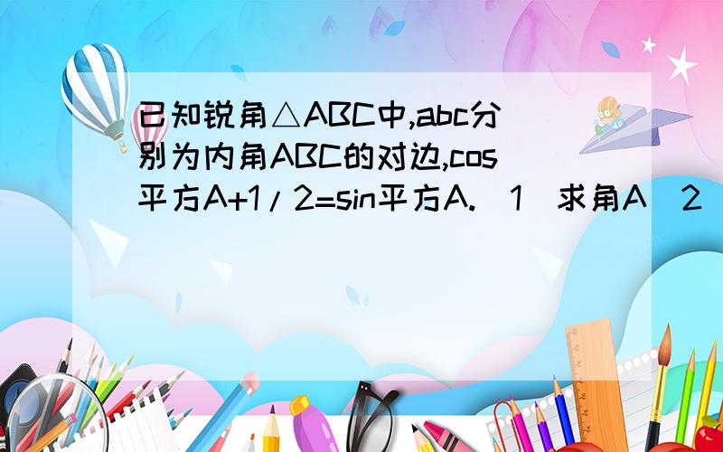已知锐角△ABC中,abc分别为内角ABC的对边,cos平方A+1/2=sin平方A.(1)求角A(2)若a=根号7,求△ABC的面...已知锐角△ABC中,abc分别为内角ABC的对边,cos平方A+1/2=sin平方A.(1)求角A(2)若a=根号7,求△ABC的面积的