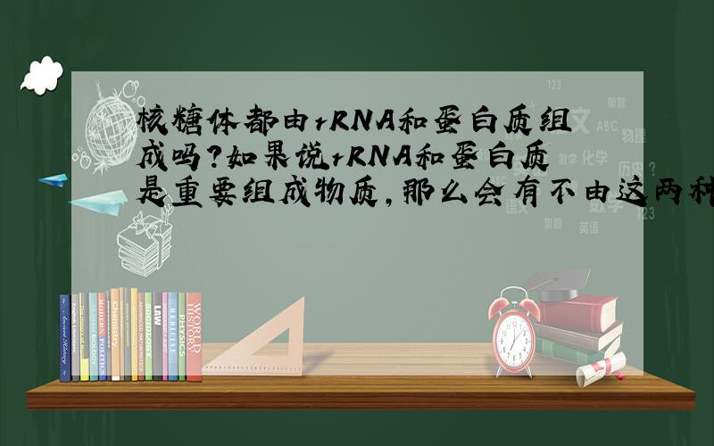 核糖体都由rRNA和蛋白质组成吗?如果说rRNA和蛋白质是重要组成物质,那么会有不由这两种东西组成的核糖体吗