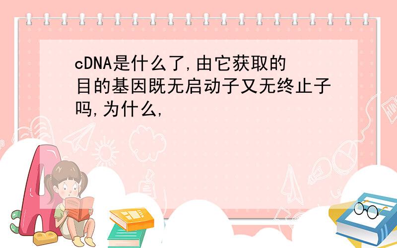 cDNA是什么了,由它获取的目的基因既无启动子又无终止子吗,为什么,