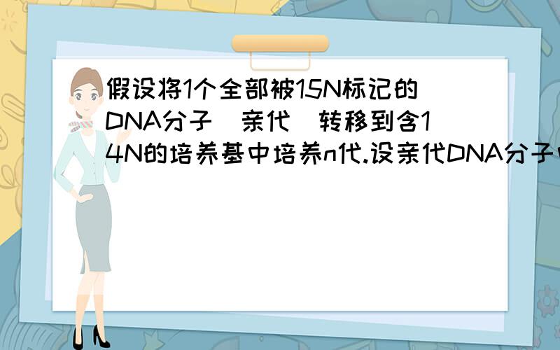 假设将1个全部被15N标记的DNA分子（亲代）转移到含14N的培养基中培养n代.设亲代DNA分子中含有某种脱氧核苷酸m个,则在第n次复制时,公需消耗游离的该脱氧核苷酸m·2^(n-1)个.这个公式怎么推导