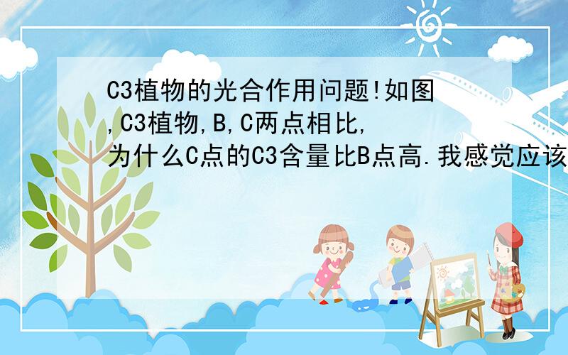 C3植物的光合作用问题!如图,C3植物,B,C两点相比,为什么C点的C3含量比B点高.我感觉应该是B点时开始,气孔关闭,CO2供应变少,C3应该变少才是啊?