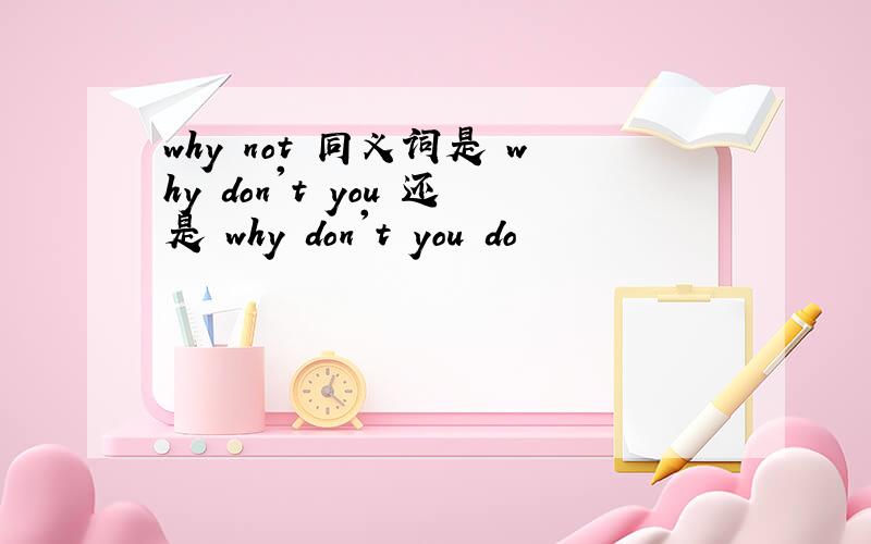 why not 同义词是 why don't you 还是 why don't you do