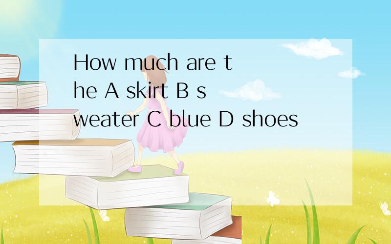How much are the A skirt B sweater C blue D shoes