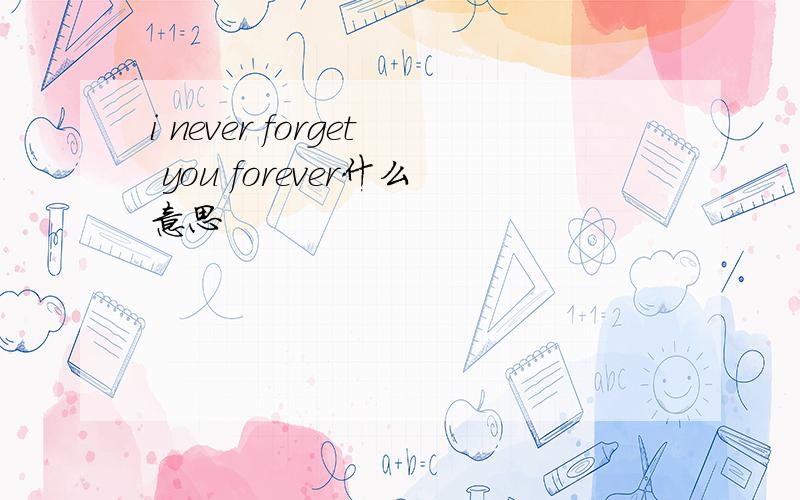 i never forget you forever什么意思