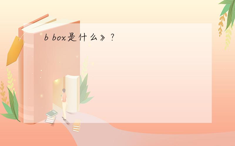 b box是什么》?