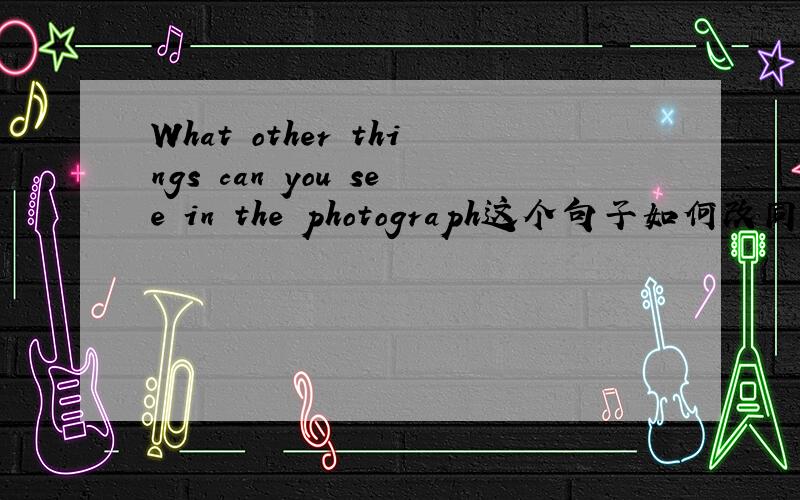 What other things can you see in the photograph这个句子如何改同义句?（ ）can you see in the photograph只改前面三个词