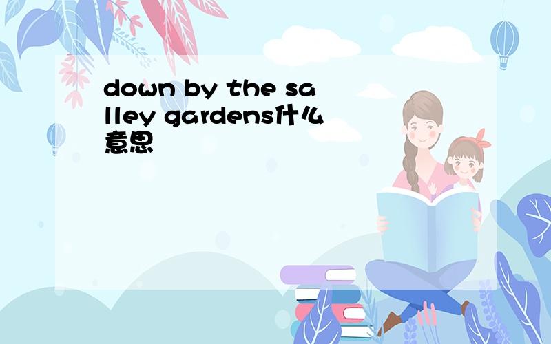 down by the salley gardens什么意思