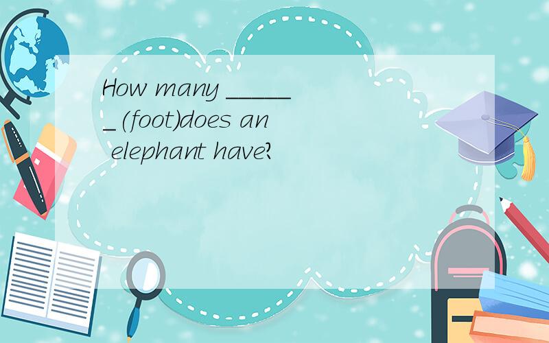 How many ______(foot)does an elephant have?