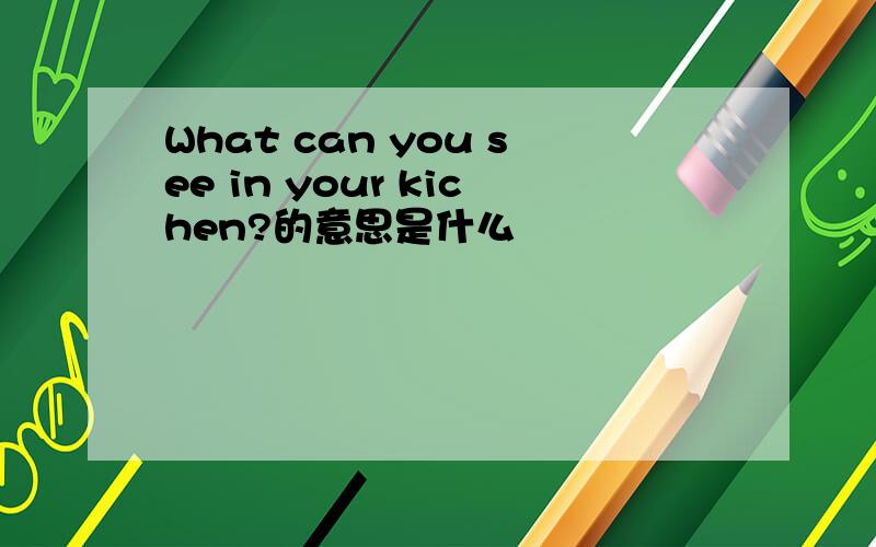 What can you see in your kichen?的意思是什么