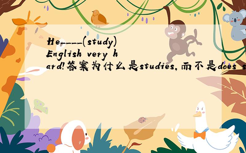 He____(study) English very hard!答案为什么是studies,而不是does study?