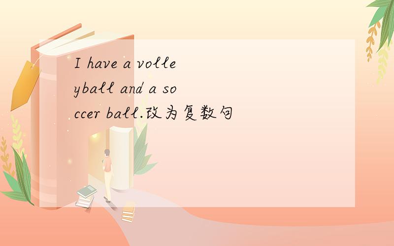I have a volleyball and a soccer ball.改为复数句