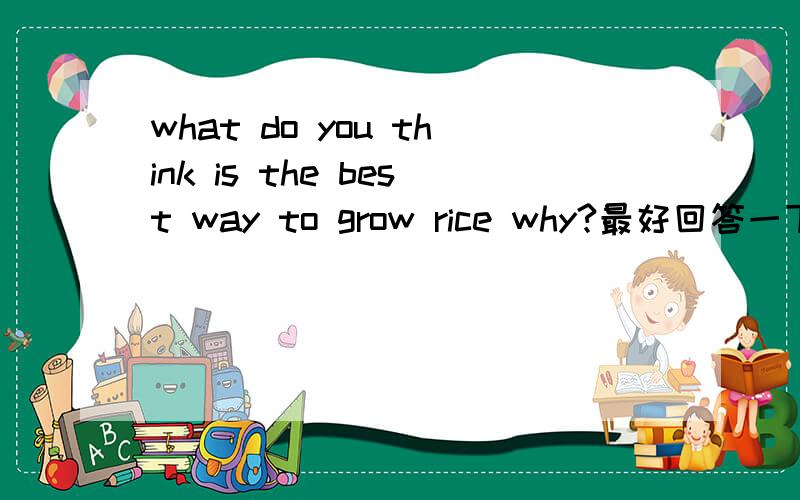 what do you think is the best way to grow rice why?最好回答一下,不回答也行,