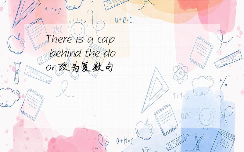 There is a cap behind the door.改为复数句
