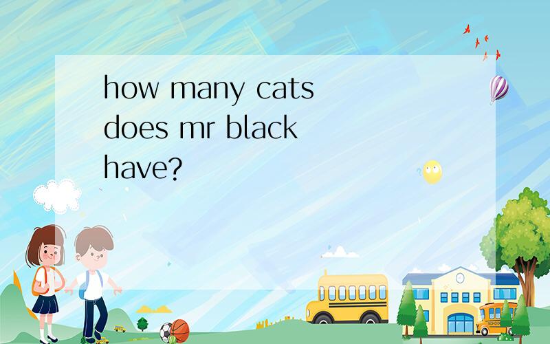 how many cats does mr black have?