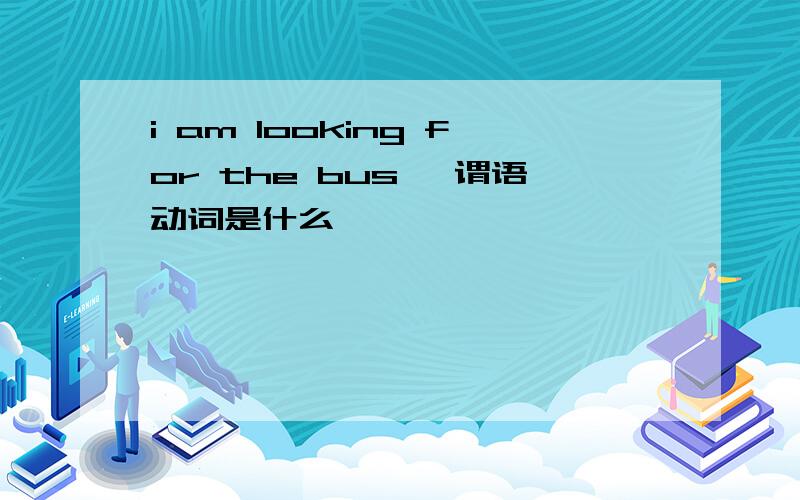 i am looking for the bus ,谓语动词是什么