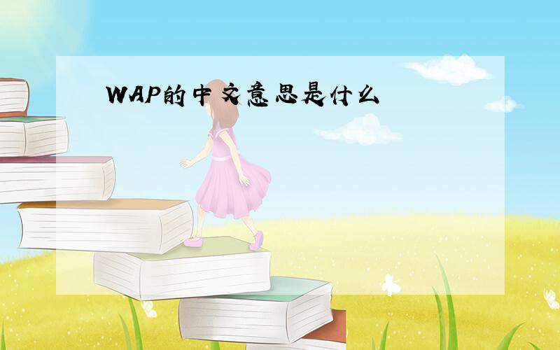 WAP的中文意思是什么