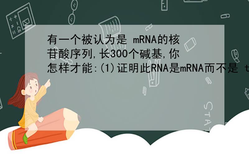 有一个被认为是 mRNA的核苷酸序列,长300个碱基,你怎样才能:(1)证明此RNA是mRNA而不是 tRNA或rRNA.(2)确定它是真核还是原核mRNA.