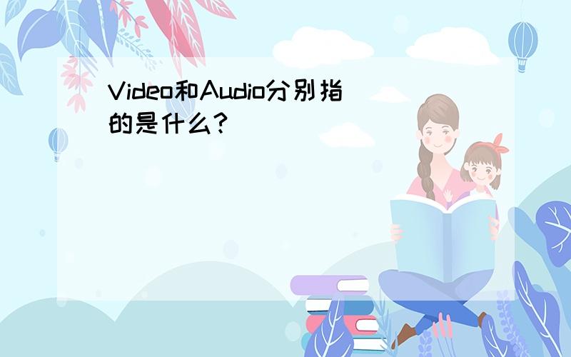 Video和Audio分别指的是什么?