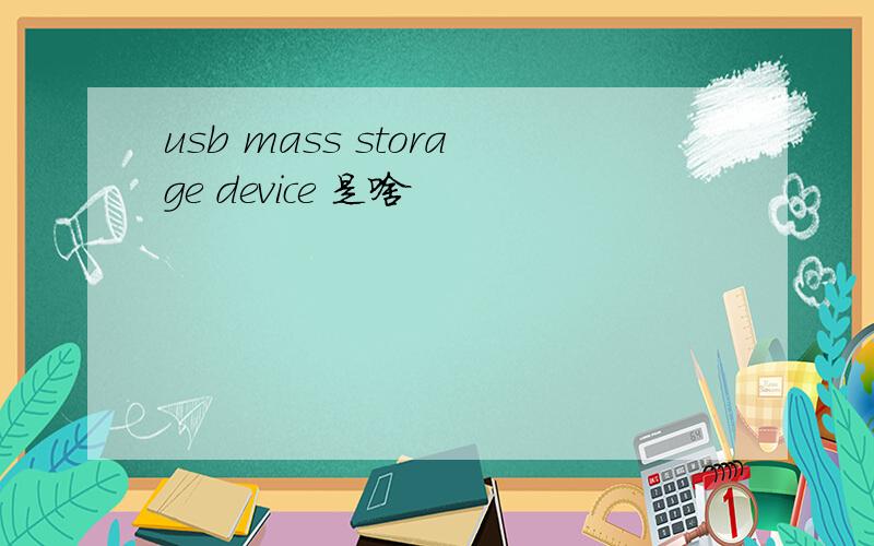 usb mass storage device 是啥