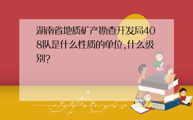 湖南省地质矿产勘查开发局408队是什么性质的单位,什么级别?