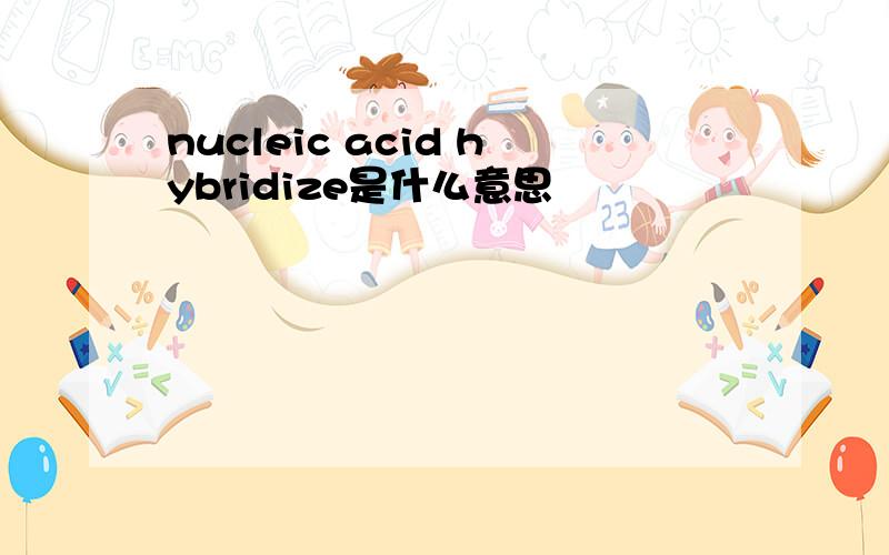 nucleic acid hybridize是什么意思