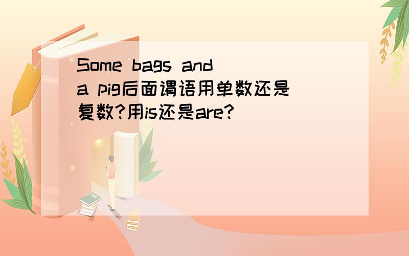 Some bags and a pig后面谓语用单数还是复数?用is还是are?
